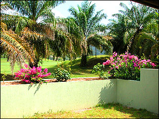 View of Garden 