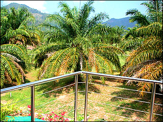 Master Bedroom Balcony 